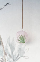 Load image into Gallery viewer, Colourful Glass Hanging Globes