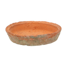 Load image into Gallery viewer, Aged Terracotta Plant Pots With Saucers - *Local Delivery or Local Pick Up Only*