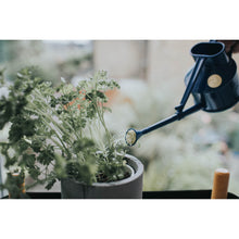 Load image into Gallery viewer, Haws Langley Sprinkler Watering Can - Blue