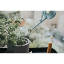 Load image into Gallery viewer, Haws Langley Sprinkler Watering Can - Duck Egg Blue