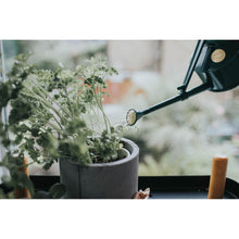 Load image into Gallery viewer, Haws Langley Sprinkler Watering Can - Green