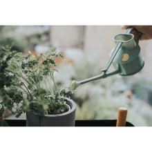 Load image into Gallery viewer, Haws Langley Sprinkler Watering Can - Sage