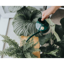 Load image into Gallery viewer, Haws Fazeley Flow Green Watering Can - One Pint
