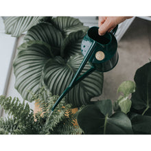 Load image into Gallery viewer, Haws Fazeley Flow Green Watering Can - Two Pint