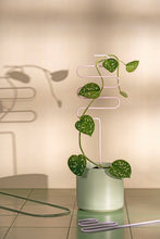 Load image into Gallery viewer, Pastel Plant Supports - Set of 3