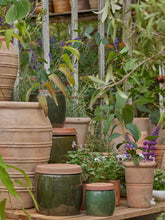 Load image into Gallery viewer, Dark Green Glazed Plant Pot With Saucer - *Local Delivery or Local Pick Up Only*