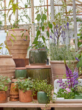 Load image into Gallery viewer, Dark Green Glazed Plant Pot With Saucer - *Local Delivery or Local Pick Up Only*