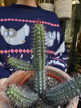 Load image into Gallery viewer, Euphorbia badoensis / Euphorbia baioensis / Cage Monolith