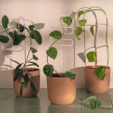 Load image into Gallery viewer, Pastel Plant Supports - Set of 3