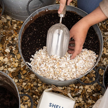 Load image into Gallery viewer, Shell On Earth - Mini or Super Crush