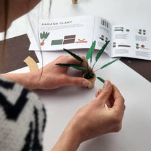 Load image into Gallery viewer, Paper Plants Origami Kit