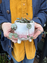 Load image into Gallery viewer, Ceropegia woodii / String of Hearts - 6cm Pot