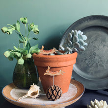 Load image into Gallery viewer, Plant Pot Companions