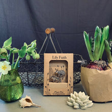 Load image into Gallery viewer, Plant Pot Companions