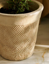 Load image into Gallery viewer, Textured Stoneware Plant Pots