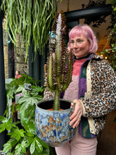 Load image into Gallery viewer, Euphorbia trigona Rubra / African Milk Tree - *Local Delivery or Local Pick Up Only*