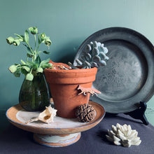 Load image into Gallery viewer, Plant Pot Companions