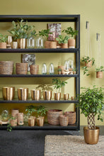 Load image into Gallery viewer, Recycled Glass Egg Terrarium - *Local Delivery or Local Pick Up Only*