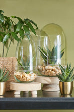 Load image into Gallery viewer, Recycled Glass Egg Terrarium - *Local Delivery or Local Pick Up Only*