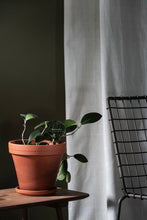 Load image into Gallery viewer, Glass Watering Bulbs