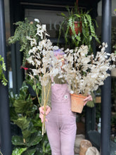 Load image into Gallery viewer, Dried Lunaria / Honesty - Price Per Stem