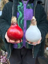 Load image into Gallery viewer, Waxed Hippeastrum Bulbs - Amaryllis