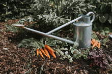 Load image into Gallery viewer, Haws Warley Fall - Two Gallon in Galvanised