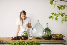 Load image into Gallery viewer, Terrarium Tool Set