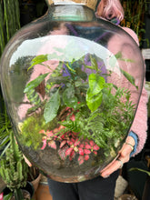 Load image into Gallery viewer, XXL Ficus microcarpa Ginseng Sealed Terrarium - *Local Delivery or Local Pick Up Only*