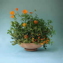 Load image into Gallery viewer, Ada Rose Plant Pots