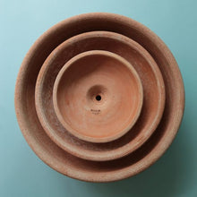 Load image into Gallery viewer, Ada Rose Plant Pots