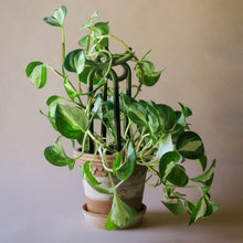 Load image into Gallery viewer, Folk Yuma Glazed Ceramic Plant Stakes