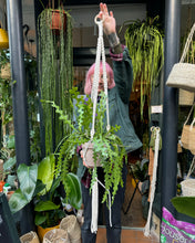 Load image into Gallery viewer, Make Your Own Macrame Plant Hanger Workshop