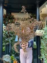 Load image into Gallery viewer, Bracken - Price Per Stem