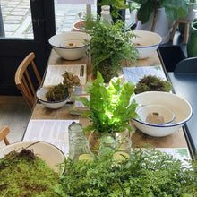 Load image into Gallery viewer, Make Your Own Kokedama Moss Ball Workshop