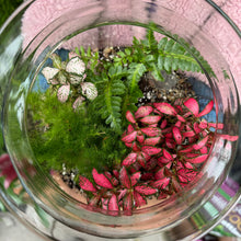 Load image into Gallery viewer, Make Your Own Sealed Terrarium Workshop
