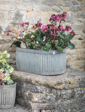 Load image into Gallery viewer, Vintage Oval Trough Planters - *Local Delivery or Local Pick Up Only*