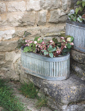 Load image into Gallery viewer, Vintage Oval Trough Planters - *Local Delivery or Local Pick Up Only*