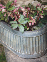 Load image into Gallery viewer, Vintage Oval Trough Planters - *Local Delivery or Local Pick Up Only*