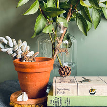 Load image into Gallery viewer, Plant Pot Companions