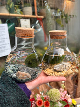 Load image into Gallery viewer, Marimo Moss Ball Terrarium Science Lab Bottle - *Local Delivery or Local Pick Up Only*