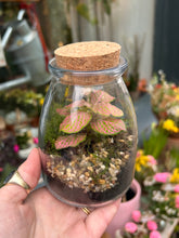 Load image into Gallery viewer, Spherical Sealed Terrarium - *Local Delivery or Local Pick Up Only*