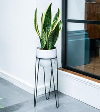 Load image into Gallery viewer, Hairpin Metal Plant Stand