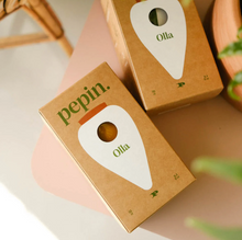 Load image into Gallery viewer, Ceramic Hydrating Olla - Green & White Stripes