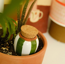 Load image into Gallery viewer, Ceramic Hydrating Olla - Green & White Stripes