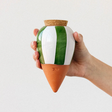 Load image into Gallery viewer, Ceramic Hydrating Olla - Green & White Stripes
