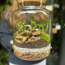 Load image into Gallery viewer, Make Your Own Sealed Terrarium Workshop