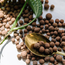 Load image into Gallery viewer, Soil Ninja Clay Pebbles 2.5L