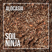 Load image into Gallery viewer, Soil Ninja Premium Alocasia Blend 2.5L