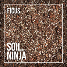 Load image into Gallery viewer, Soil Ninja Premium Ficus Blend 2.5L & 5L